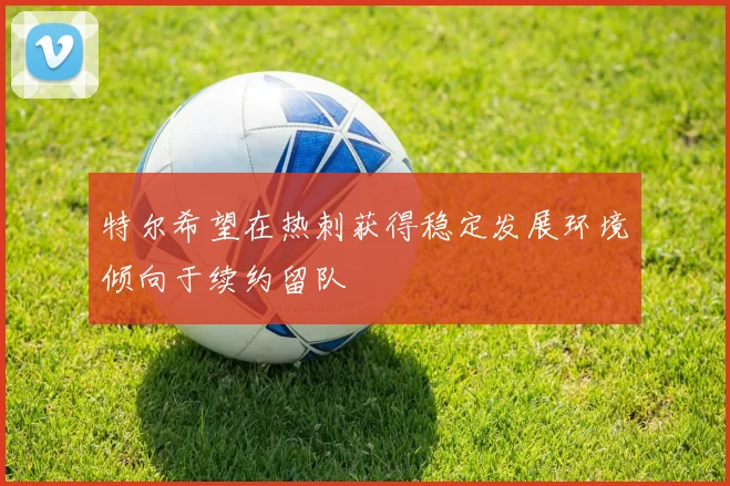 特尔希望在热刺获得稳定发展环境倾向于续约留队