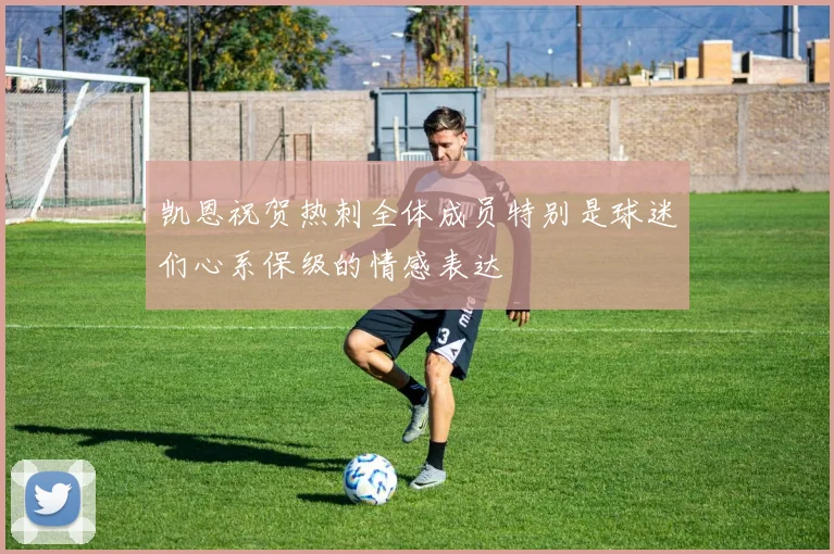 凯恩祝贺热刺全体成员特别是球迷们心系保级的情感表达