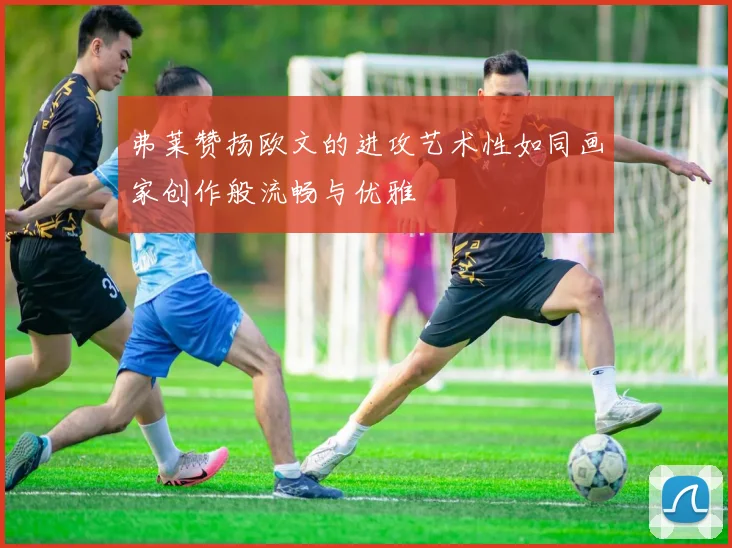弗莱赞扬欧文的进攻艺术性如同画家创作般流畅与优雅